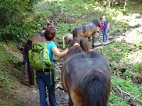Alp de Roq 2019 (12)