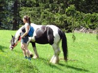 Alp de Roq 2019 (18)