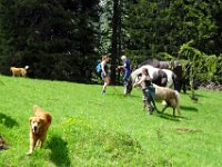 Alp de Roq 2019 (19)