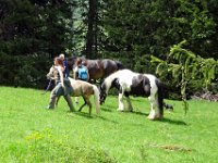 Alp de Roq 2019 (20)