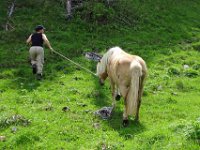 Alp de Roq 2019 (21)