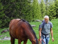 Alp de Roq 2019 (22)