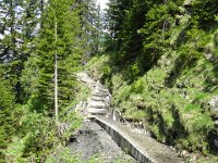 Alp de Roq 2019 (23)