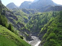 Alp de Roq 2019 (24)