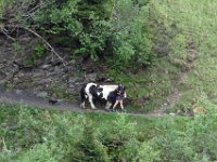 Alp de Roq 2019 (26)