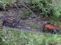 Alp de Roq 2019 (27)