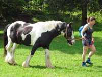 Alp de Roq 2019 (3)