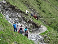 Alp de Roq 2019 (31)