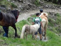 Alp de Roq 2019 (33)