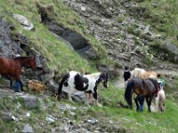 Alp de Roq 2019 (34)