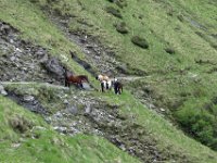 Alp de Roq 2019 (35)