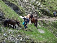 Alp de Roq 2019 (37)