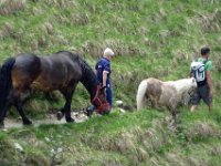 Alp de Roq 2019 (39)