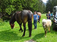 Alp de Roq 2019 (4)