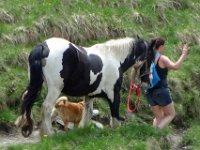 Alp de Roq 2019 (40)