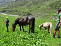 Alp de Roq 2019 (44)