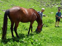 Alp de Roq 2019 (45)