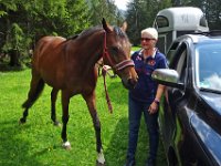 Alp de Roq 2019 (5)