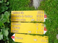 Alp de Roq 2019 (51)