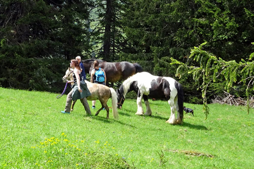Alp de Roq 2019