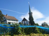 Wümmet 2019 (1)