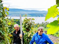 Wümmet 2019 (112)
