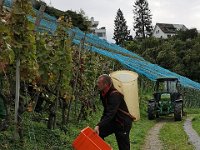 Wümmet 2019 (115)
