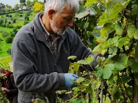 Wümmet 2019 (26)
