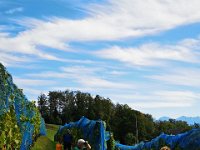 Wümmet 2019 (50)