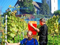Wümmet 2019 (85)