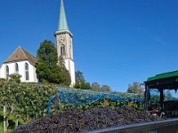 Wümmet 2019 (94)