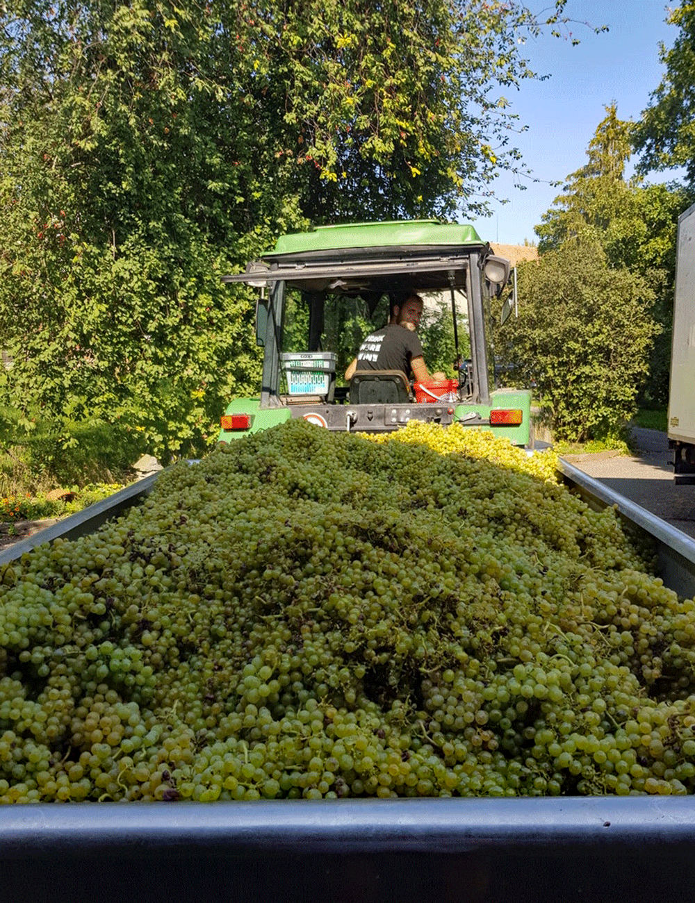 Wümmet 2021