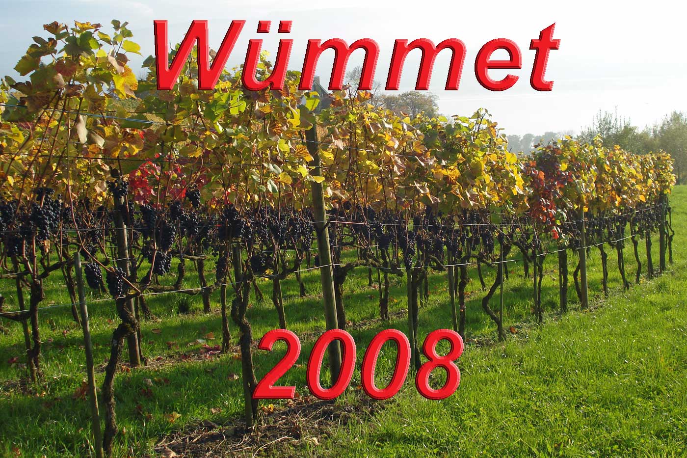 Wümmet 2008