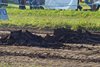 Tractor Pulling Dürnten 2013 (53)