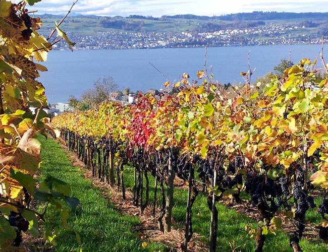 Wümmet 2013