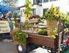 Herbschtfäscht 2015 (29)